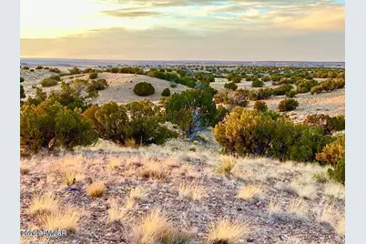 Woodland Valley Ranch Lot 902 -- #-, Saint Johns, AZ 85936 - Photo 11