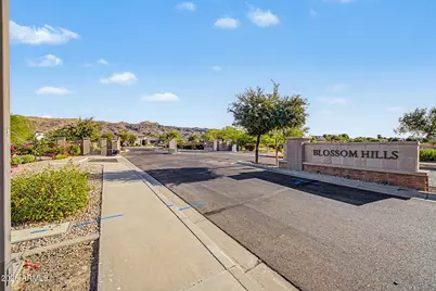 2923 E Constance Way, Phoenix, AZ 85042 - Photo 45