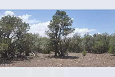 67 Ranch Road #67, Williams, AZ 86046 - Photo 9