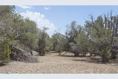 67 Ranch Road #67, Williams, AZ 86046 - Photo 19