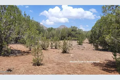 160B Cattle Drive #160, Williams, AZ 86046 - Photo 3