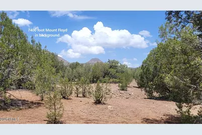 160B Cattle Drive #160, Williams, AZ 86046 - Photo 11