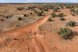 76 County Road N5552 --, Concho, AZ 85924 - Photo 23