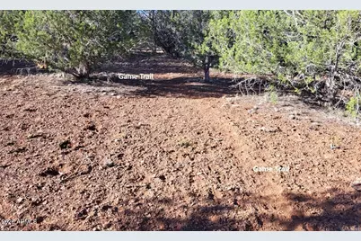918 Wolf Road #918, Ash Fork, AZ 86320 - Photo 9
