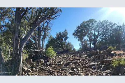 918 Wolf Road #918, Ash Fork, AZ 86320 - Photo 15