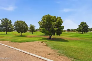 4039 E Catalina Cir, Mesa, AZ 85206 - Photo 45