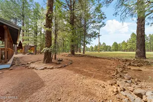 3163 Viking Trail, Pinetop, AZ 85935 - Photo 45
