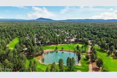 3163 Viking Trail, Pinetop, AZ 85935 - Photo 49