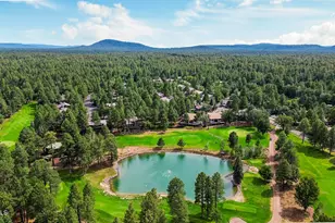 3163 Viking Trail, Pinetop, AZ 85935 - Photo 49