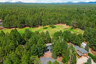 3163 Viking Trail, Pinetop, AZ 85935 - Photo 47