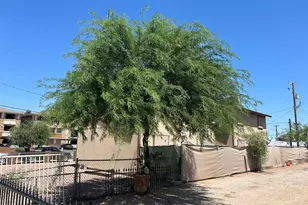 3702 E Polk St, Phoenix, AZ 85008 - Photo 7