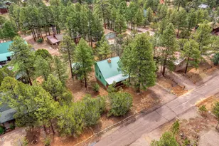 3307 Pine Ridge Dr, Heber, AZ 85928 - Photo 3