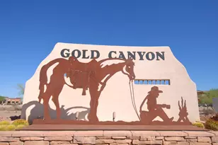 6608 E Casa De Risco Ln, Gold Canyon, AZ 85118 - Photo 21