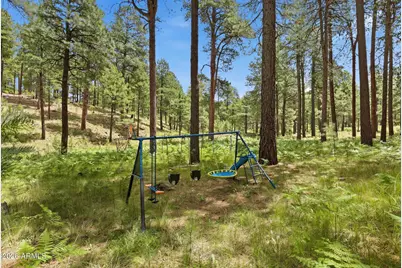 2080 Gobbler Lane, Forest Lakes, AZ 85931 - Photo 73