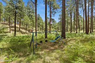 2080 Gobbler Ln, Forest Lakes, AZ 85931 - Photo 73