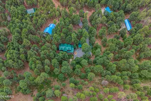 2080 Gobbler Ln, Forest Lakes, AZ 85931 - Photo 91