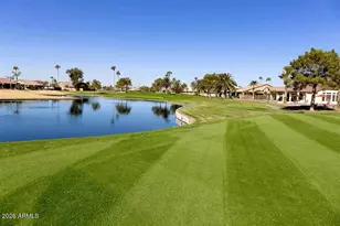 10202 E Elmwood Dr, Sun Lakes, AZ 85248 - Photo 55