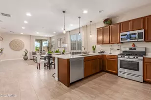 43 E Capricorn Way, Chandler, AZ 85249 - Photo 11