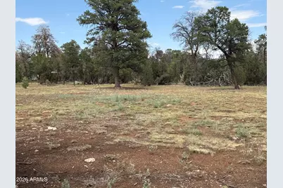 3048 Chevelon Road #147, Overgaard, AZ 85933 - Photo 3