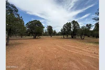 3048 Chevelon Road #147, Overgaard, AZ 85933 - Photo 9