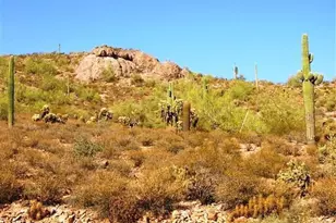 5071 S Desert Willow Dr, Gold Canyon, AZ 85118 - Photo 11
