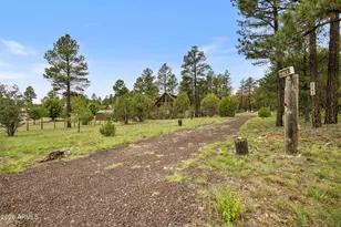 2746 Sky Hawk Dr, Overgaard, AZ 85933 - Photo 35