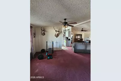 10194 N Mormon Road, Elfrida, AZ 85610 - Photo 15