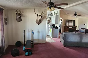 10194 N Mormon Rd, Elfrida, AZ 85610 - Photo 15