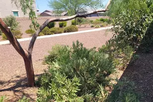 9207 W Sells Dr, Phoenix, AZ 85037 - Photo 13