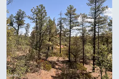 7384 Carina Lane, Lakeside, AZ 85929 - Photo 3
