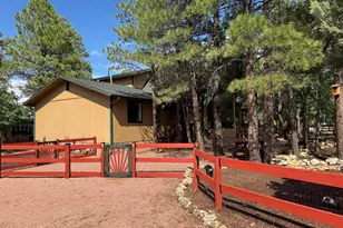 4303 Navajo Dr, Happy Jack, AZ 86024 - Photo 7