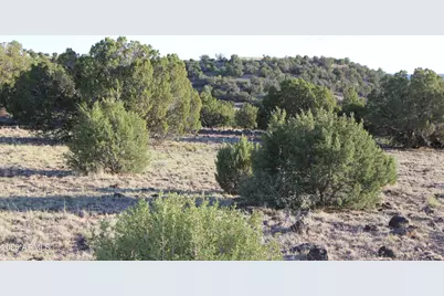 8623 Tbd County Road 8623 -- #62, Concho, AZ 85924 - Photo 3