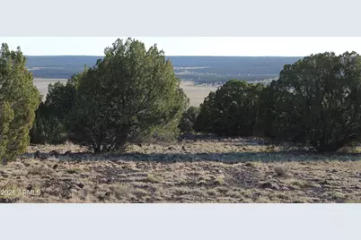 8623 Tbd County Road 8623 -- #62, Concho, AZ 85924 - Photo 9