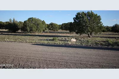 8623 Tbd County Road 8623 -- #62, Concho, AZ 85924 - Photo 7