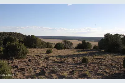 8623 Tbd County Road 8623 -- #62, Concho, AZ 85924 - Photo 5