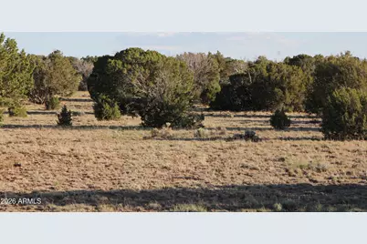 8623 Tbd County Road 8623 -- #62, Concho, AZ 85924 - Photo 11