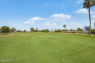 10262 W Snead Circle N, Sun City, AZ 85351 - Photo 43