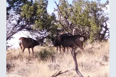 6711 N N6711 -- #64, Saint Johns, AZ 85936 - Photo 7