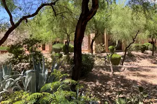 16801 N 94th St, Scottsdale, AZ 85260 - Photo 45