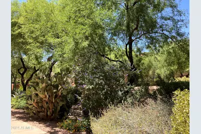 16801 N 94th Street #1063, Scottsdale, AZ 85260 - Photo 37
