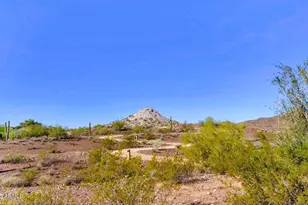 30855 N 138th Ave, Peoria, AZ 85383 - Photo 41