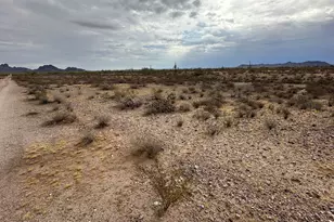333Xx W Painted Wagon Trail, Wittmann, AZ 85361 - Photo 1