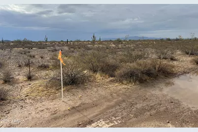 333Xx W Painted Wagon Trail #55 and 56, Wittmann, AZ 85361 - Photo 3