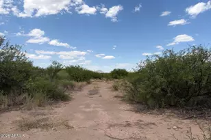 10767 N Hwy 191 --, Elfrida, AZ 85610 - Photo 1