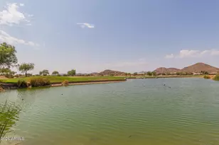 49 W Nolana Pl, San Tan Valley, AZ 85143 - Photo 49