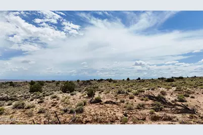 Tbd Gbar Ranch Parcel 204-78-209 -- #095, Saint Johns, AZ 85936 - Photo 7