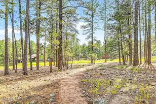3277 Dick Hevly, Flagstaff, AZ 86005 - Photo 11