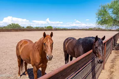 13330 E Jomax Road, Scottsdale, AZ 85262 - Photo 3