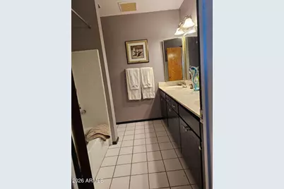 821 N Spur Circle, Mesa, AZ 85203 - Photo 43