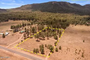 159 Correctional Center Rd, Alpine, AZ 85920 - Photo 33